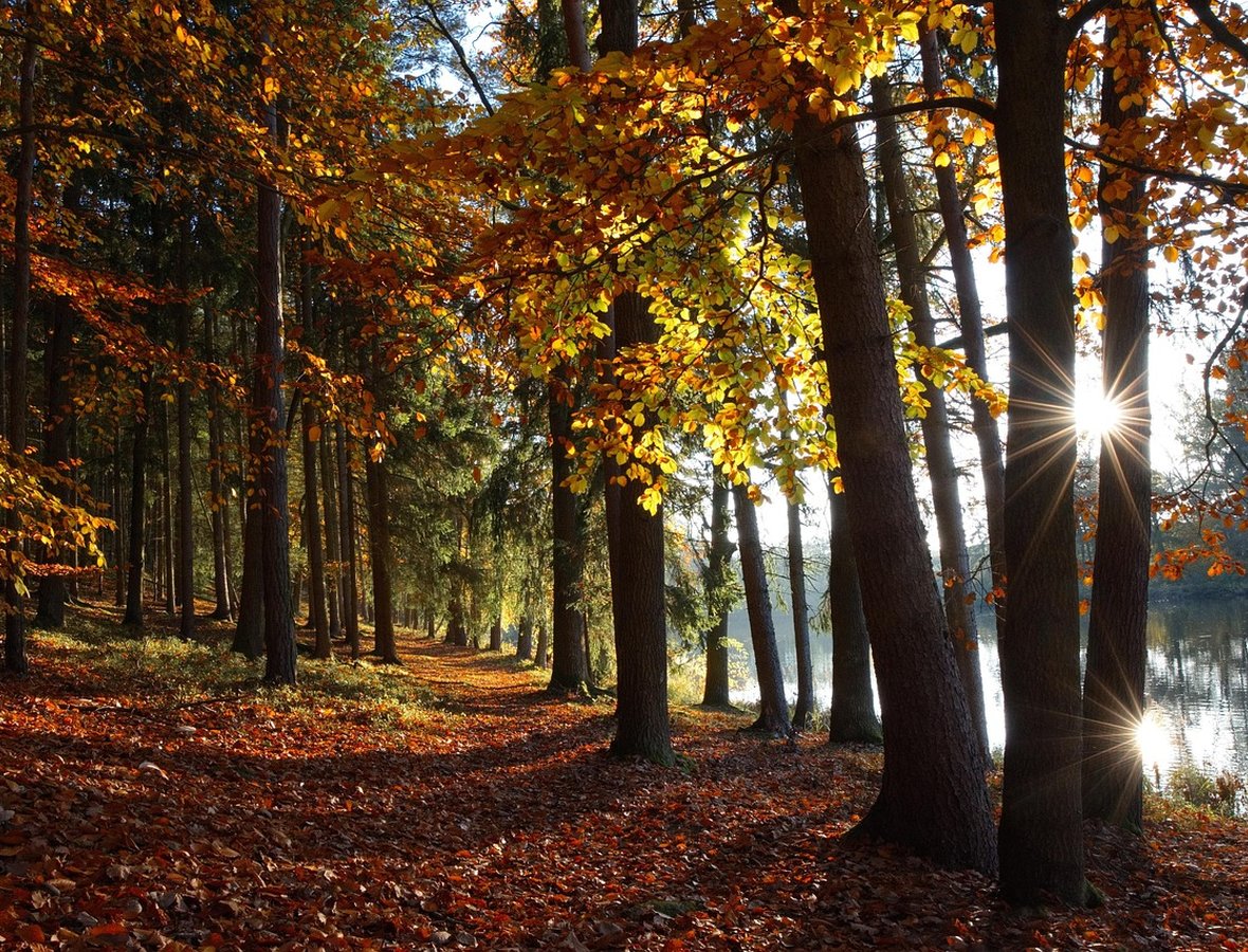 icon01